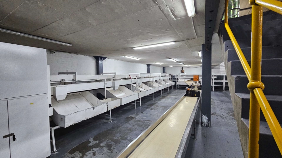 Commercial Property for Sale in Epping Industrial Western Cape